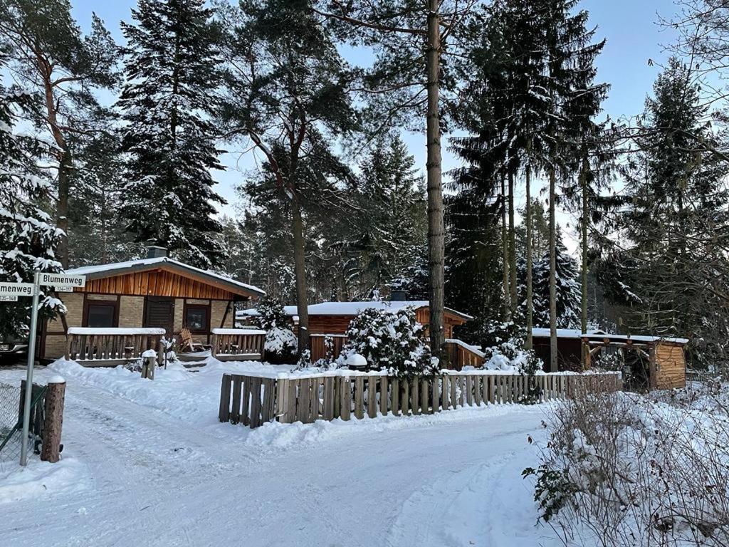 Haus Brunhilde Villa Plodda Buitenkant foto